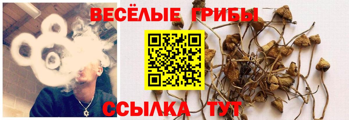 Галлюциногенные грибы ЛСД Северобайкальск